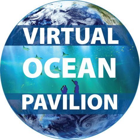 Virtual Ocean Pavilion Logo