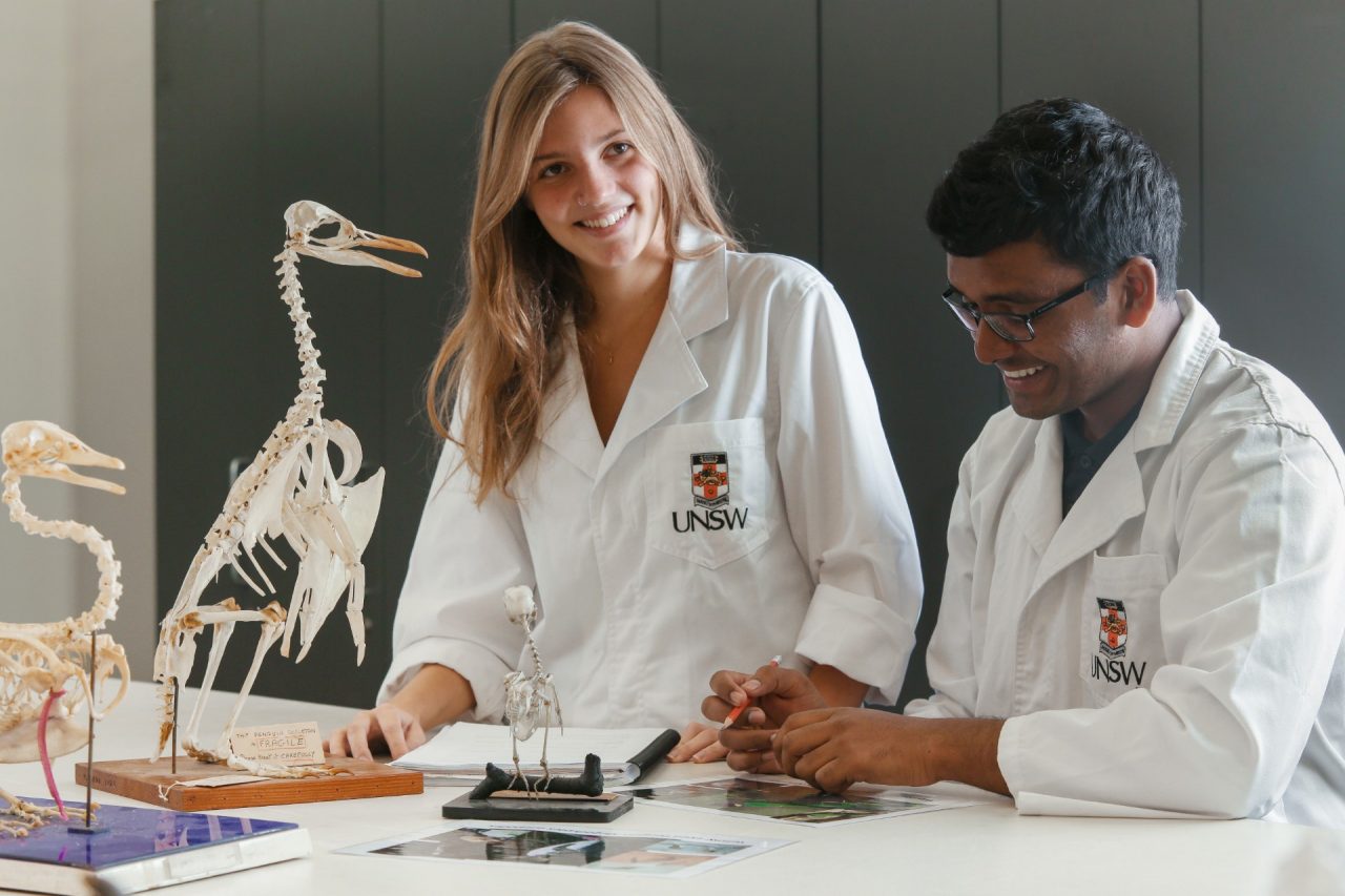 Students studying in BEES laboratory