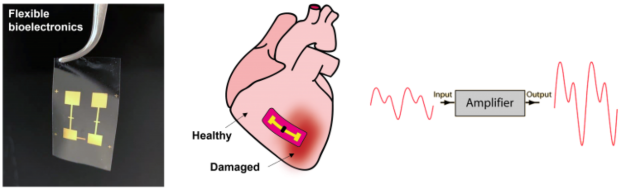 flexi bioelectronics