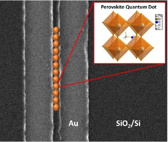 Perovskite-quantam-dot